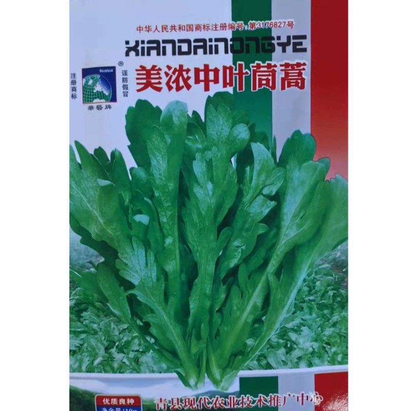 Семена среднелистной хризантемы Artemisia крупнолистовой рапс Four Seasons посадка балкон семена овощей в горшках осенний посев