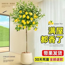 ��ˮ���ʘ��Ϙ������҃ȿ͏d����ͥԺ���̨�_���Y���͏d�Gֲ����