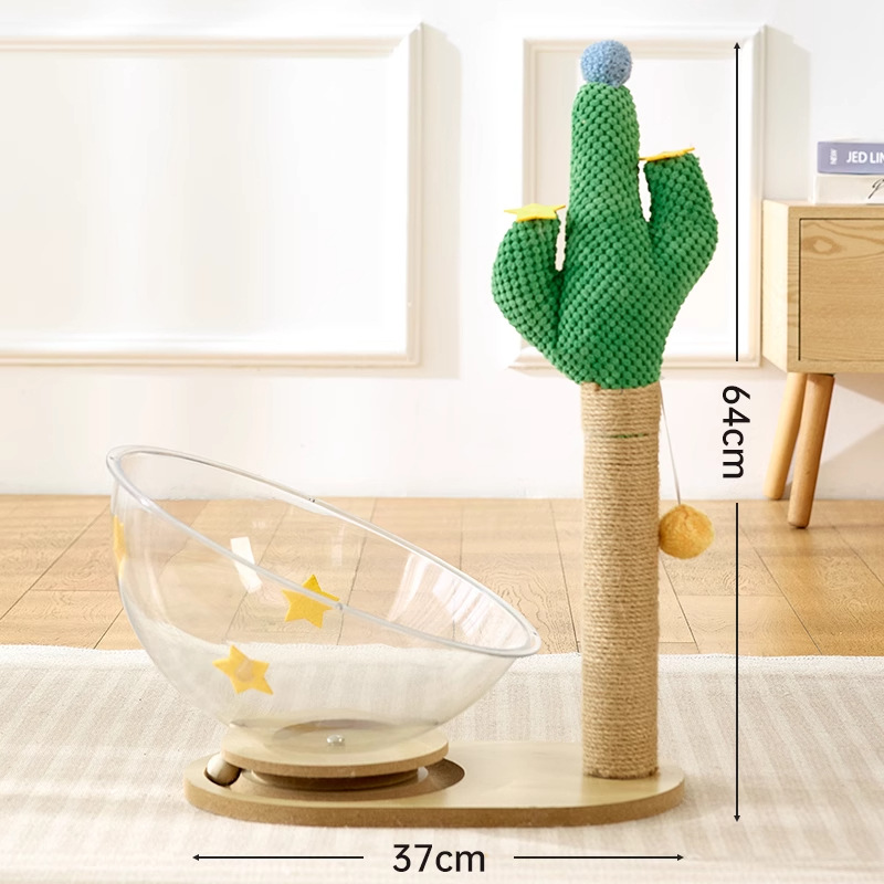 사막의 오아시스 [우주 캡슐] 별이 빛난다