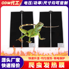 �羳���x�ӟ�|����������B��ж��~�l��Ƭ���Q�ӟ�Ƭ