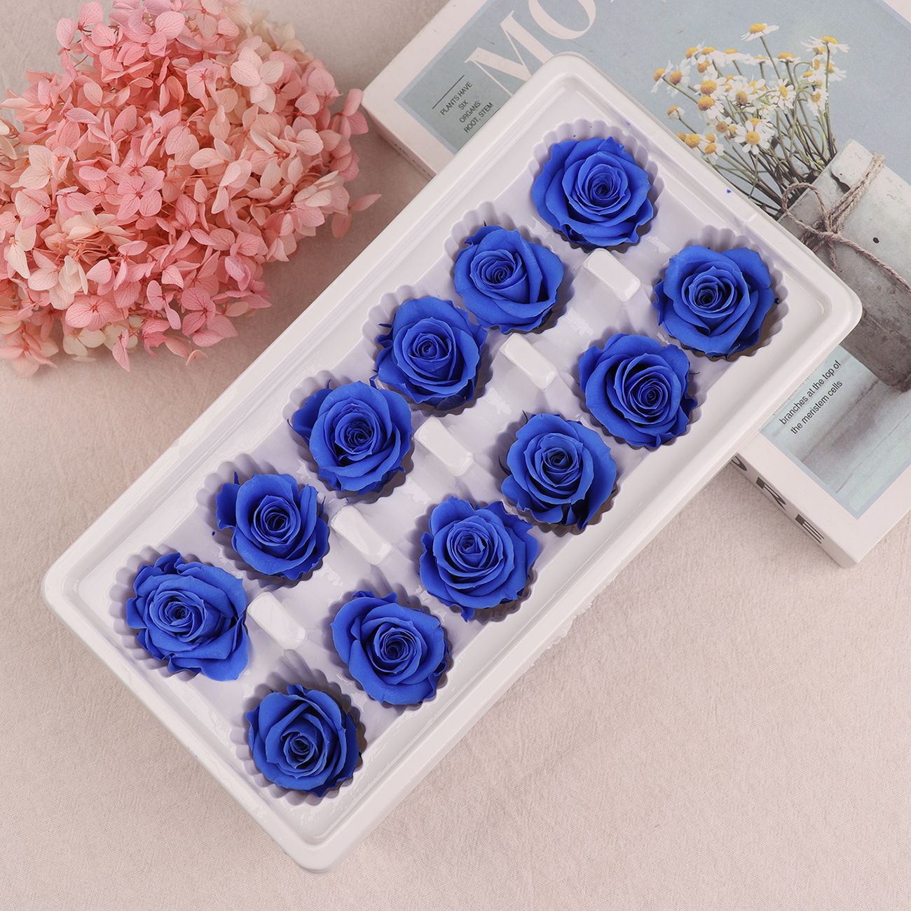Cabezas de Rosa Eternas A+, 3-4 cm, 12 Piezas, Materiales para Manualidades Florales, Caja de Regalo, Fabricante, Venta al por Mayor