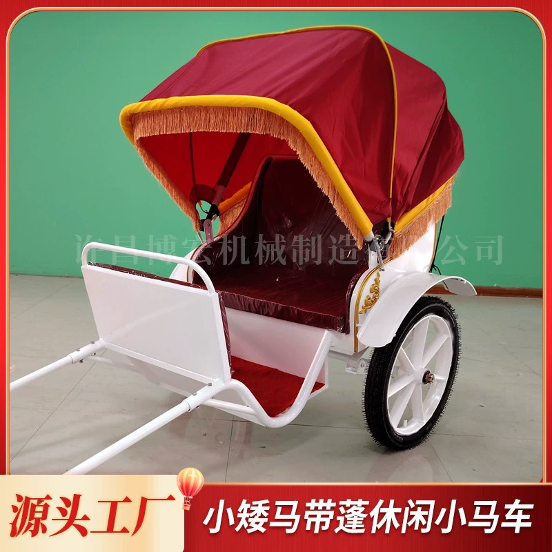 Pony carriage white two-wheel sightseeing pony Debao Shetland children's amusement equipment scenic parent-child riding