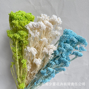 С�׻�������Ưɫ�׻��ɻ����r���廨�b���diy�ֹ��羳���l
