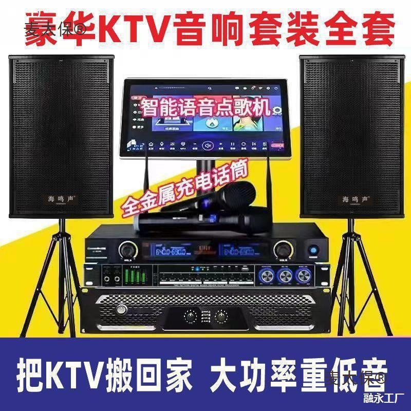 New Karaoke Machine Home Ktv Audio Set Karaoke Singing Professional High-Power Home Karaoke Full Wheat Taibao