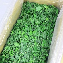 ²^ޣZøɲ݂}؈miZʳr