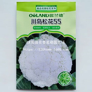 �������m���N���s�������ͺ����������m��Ҭ�˷N���ļ�����