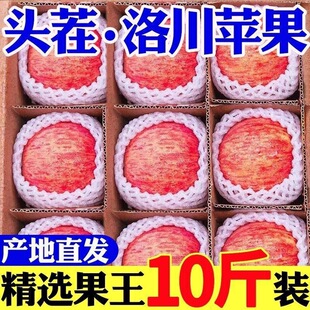 [����]��������崨�t��ʿ�O�����r����ˮ���������O�����lһ����