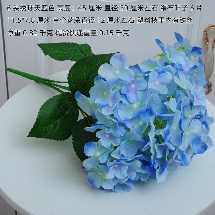 6头绣球天蓝色