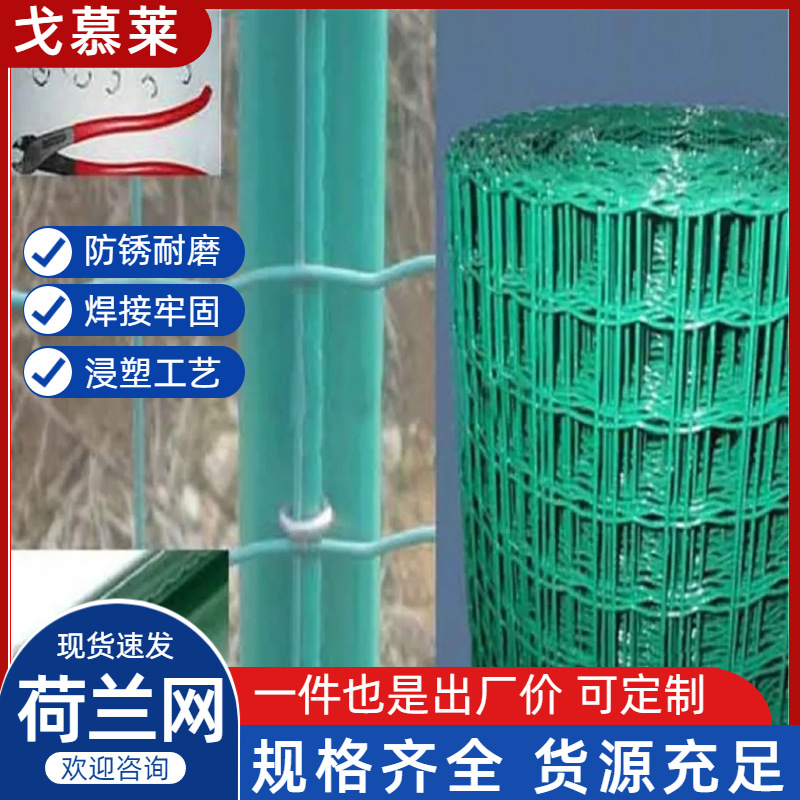 绿色硬塑果菜园隔离防护网  圈地养殖浸塑荷兰网  家用养鸡护栏网