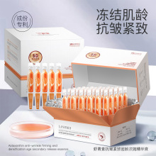 rB.F.SbrشΒAҺ 沿o¿ΒAҺ