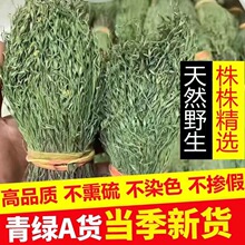 源头厂家广西无硫独脚金短脚新货独脚金中药材批发消积汤