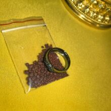 ɏ��������ָ/����/������ĸ/���_�ʲ��бO��/�w���x���������ڽ�