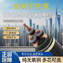 ����YJV22-8.7/15KV 3*35/50/70/95/120/150/240ƽ���߉���|��