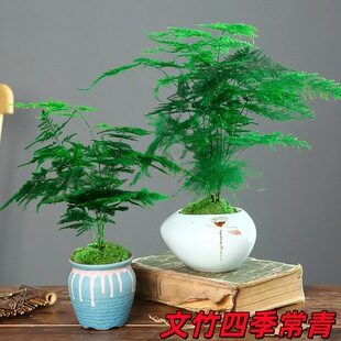 ��������ֲ���҃ȃ����՚��k����ˮ��С�Gֲ���ܴ�ȫ�辰�ļ�����