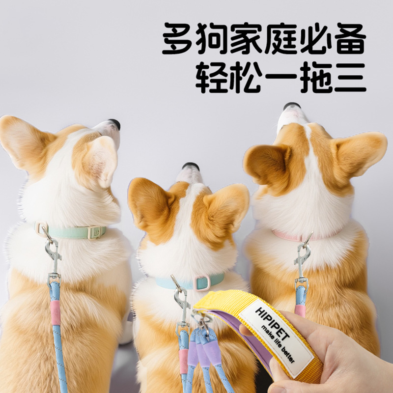 Nueva correa de nailon a la moda con diseño de bloques de color para perros pequeños y medianos, artículos para mascotas.