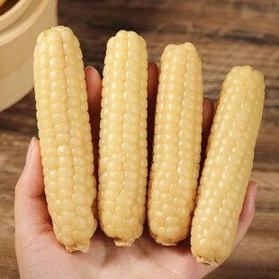 ������p��{ĴָС���������Ŵ������ָ��ŴĴָС����һ�����l
