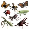 8 insects 118g