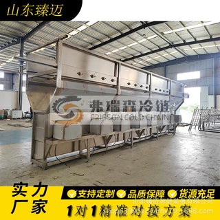 大型草莓速冻机大型流态化急冻通道式单冻机源头厂家