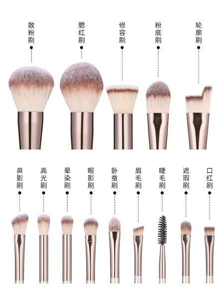 Brush, (Physicals)