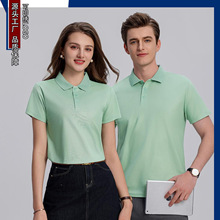 �S��ֱ�N���l�� �Ƽ�ɫ����I����Polo�����ښW���a�F؛�հ�