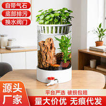 �A���~�ײ�����͸͸��ֱͲ���߹��ﲣ�������~�ײ�������S�����l