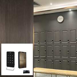 金瑞达电子密码柜锁带拉手背光灯办公文件桑拿柜储物柜通用智能锁