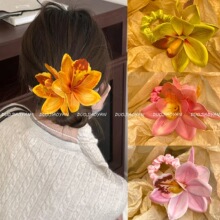 �����¿�ޥ�m���lȦ�߼��з��滨�l��ɷՇ����紺������^�