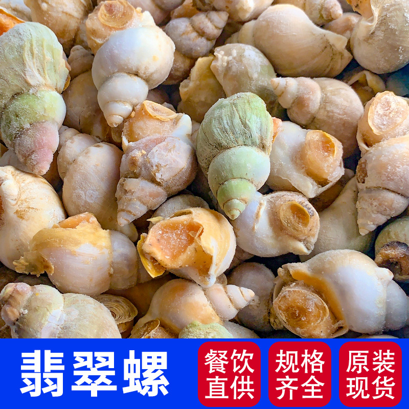 加拿大翡翠螺西餐料理点餐厅泥螺海鲜冷冻批发进口烧烤整箱翡翠螺