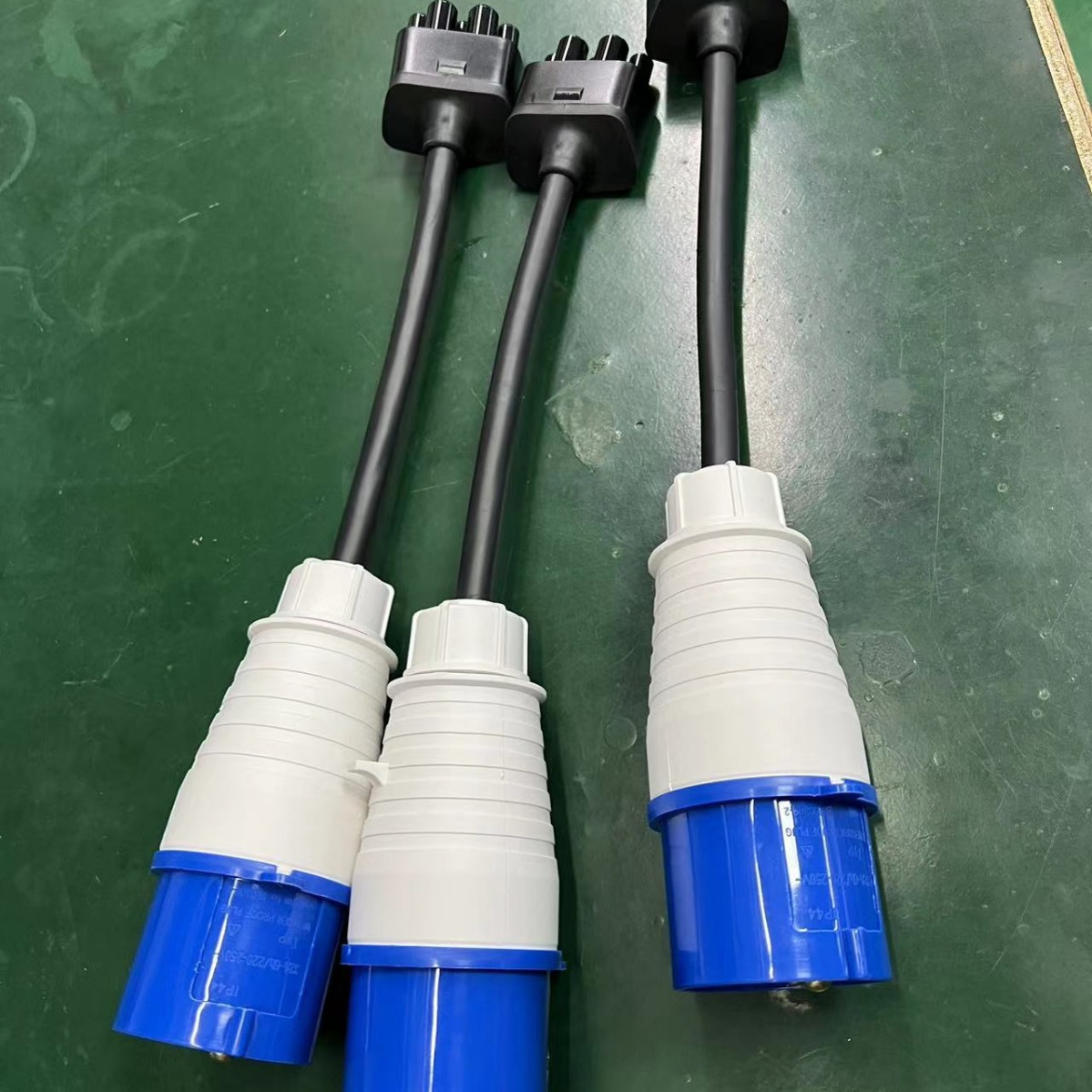 2024-08-12 12:29:26.jpg