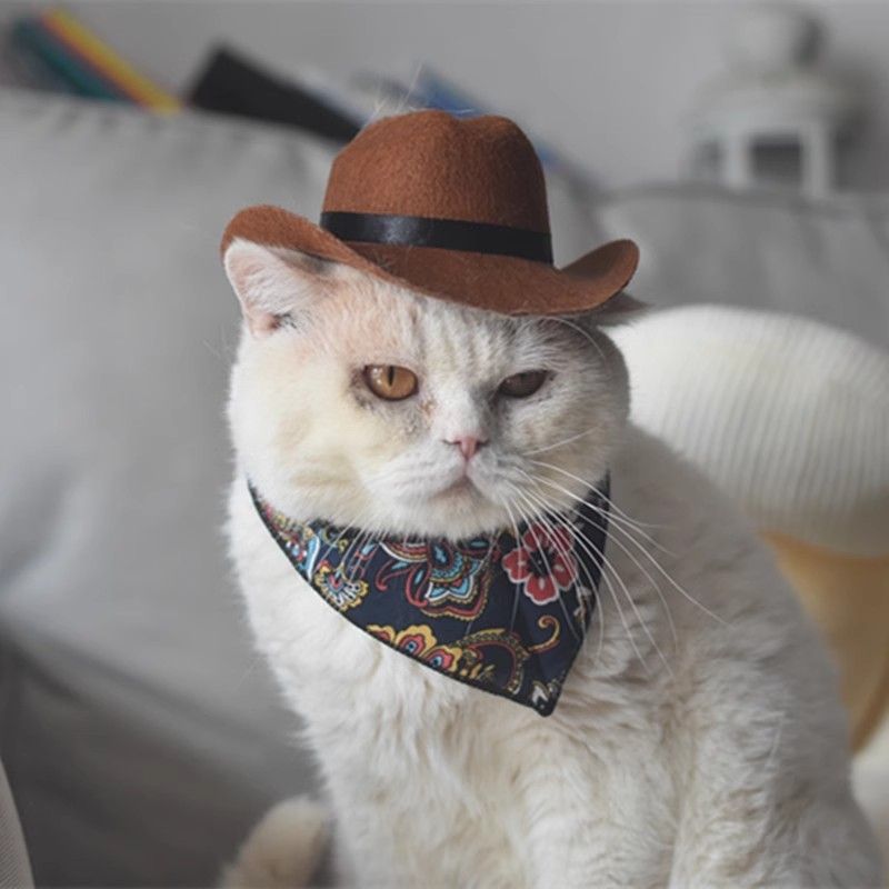 Pet Western Cowboy sombrero cool cool pet gato perro tocado vaquero muy ocupado tomando fotos lindos sombreros de vaquero