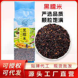 程山口东北黑糯米杂粮血糯米农家五谷杂五常大米紫米粥粗粮饭500g