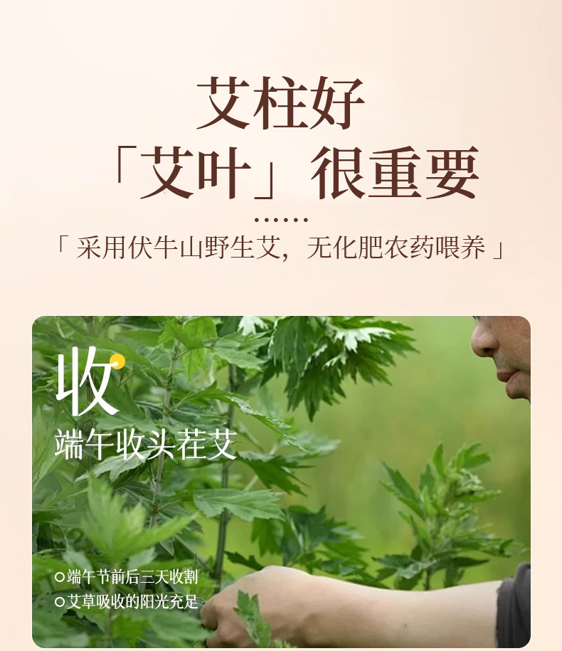Moxa Sticks Ai Zhu Moxibustion Columns with Mugwort and Safflower for Home Warming Use 54 Count Box specifications