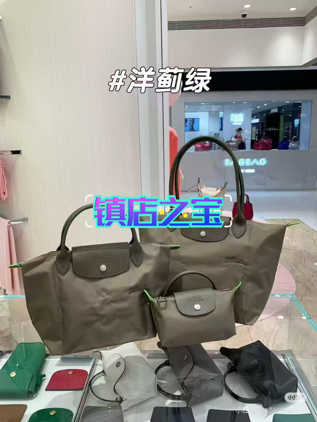 Verde musgo ecológico