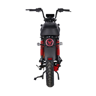 Elektrikli motosikletlər: Long-Distance Capabilities, Direct from the