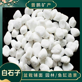 沙石砾石;其他非金属;造景/装饰