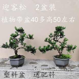 ȸ���_�h�� �@ˇ�辰�䘶 С����ֲ���ļ�����Gֲ�̨ͥԺӭ����