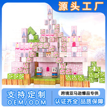 跨境亚马逊公主城堡的世界磁力积木方块磁吸磁性儿童益智玩具拼装