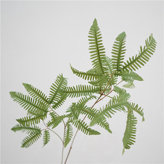 Natural Simulation Greenery Leaves, Large Branches, and Muehlenbeckia Complexa Fern Leaves—Home Decor, Floor-Standing Flower Arrangements, and Plant Wall Accessories