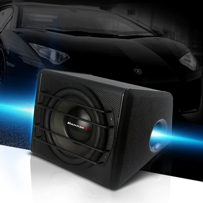 Subwoofer Audio Car 11.2inch: Car speaker/subwoofer