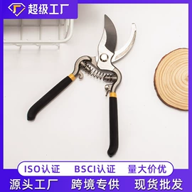 修枝剪;办公剪刀;厨用剪刀