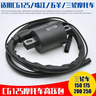 Three-wheel motorcycle electric device ignition Alovlandırıcı (Vozduşka/İqniter)