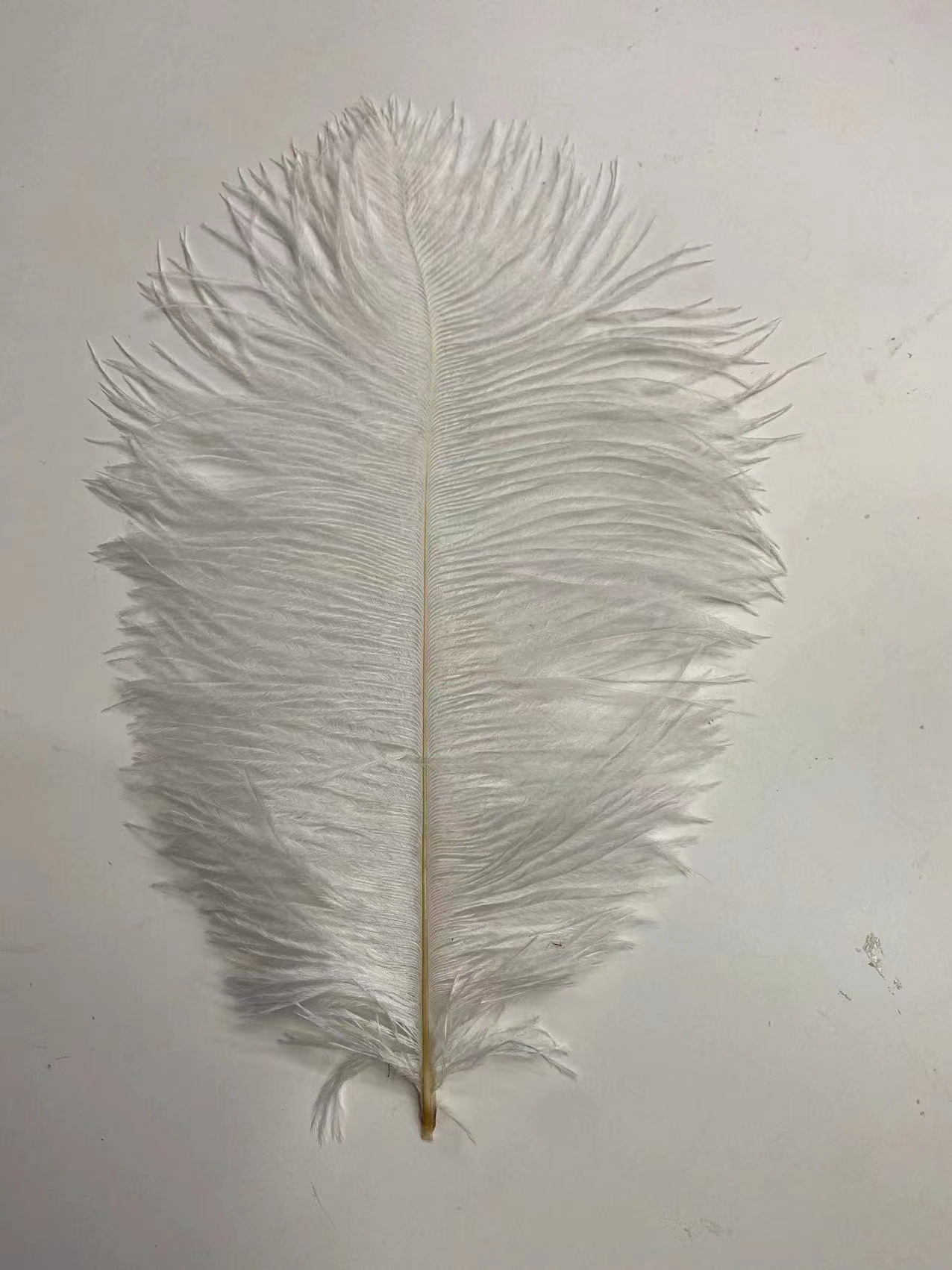 微信图片_20221127225935