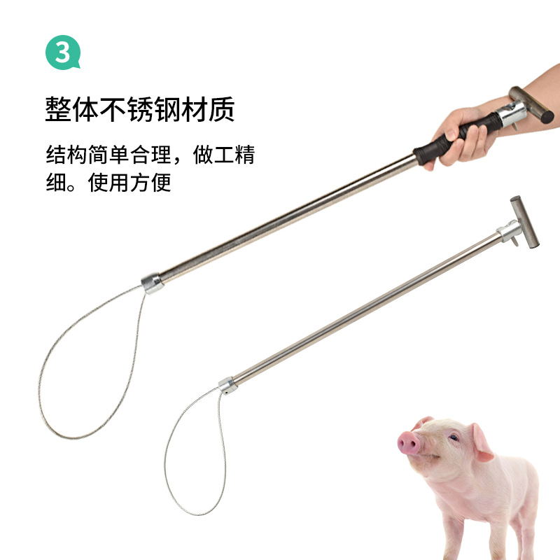 Cubierta de cerdo, dispositivo de fijación para cerdo, cuerdas de acero para el parto, manga de fijación de boca de cerdo, engrosamiento de la cría de cerdo, artefacto mágico de captura de cerdo