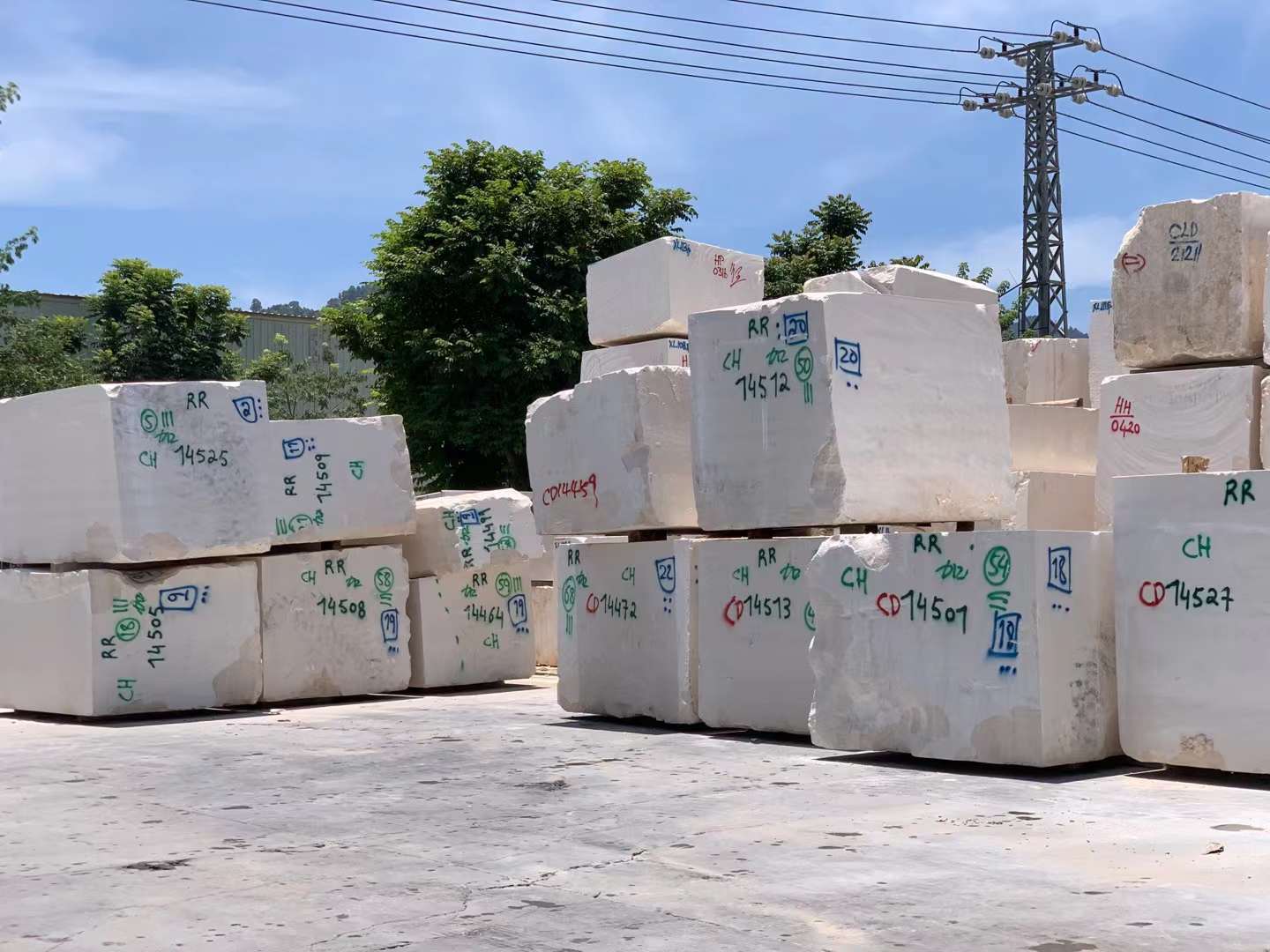 法国木纹 1 (6).jpg