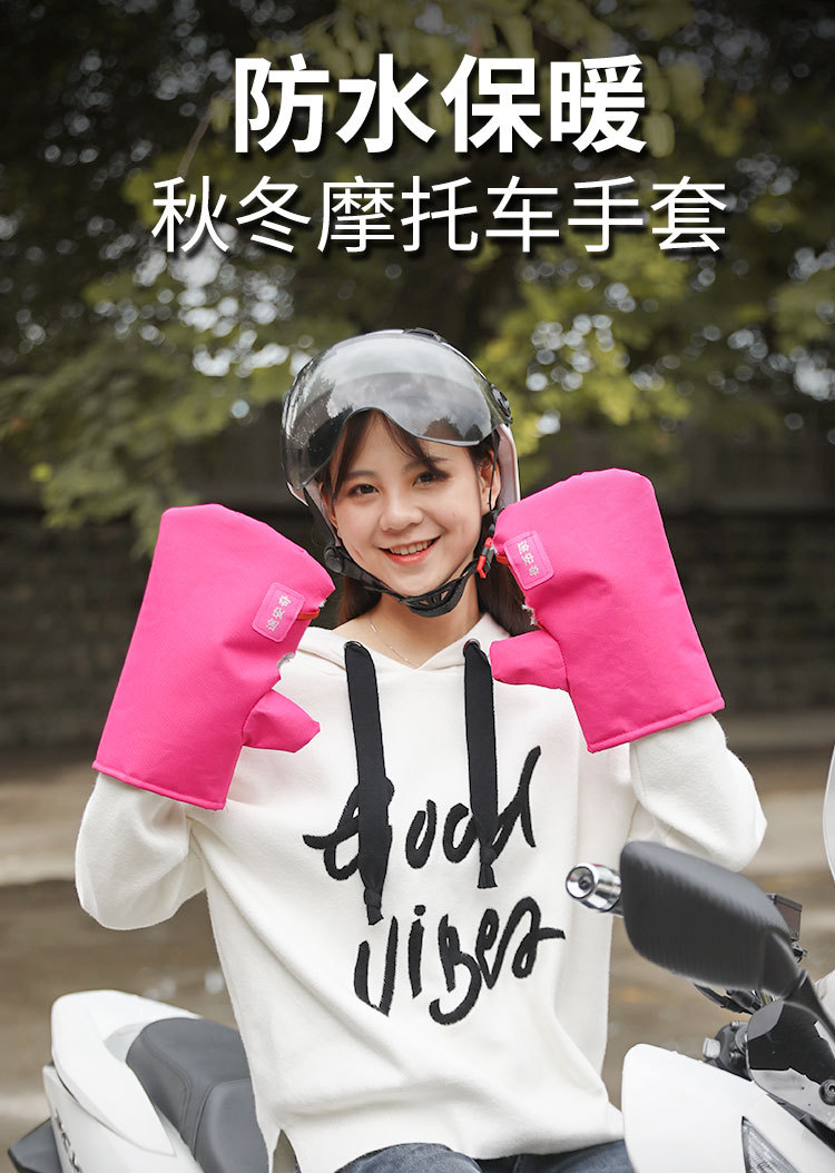 Electric Vehicle Gloves Autumn and Winter Warm Waterproof Thin Velvet Cycling Battery Vehicle Windproof Hand Guard Motorcycle Handlebar Cover