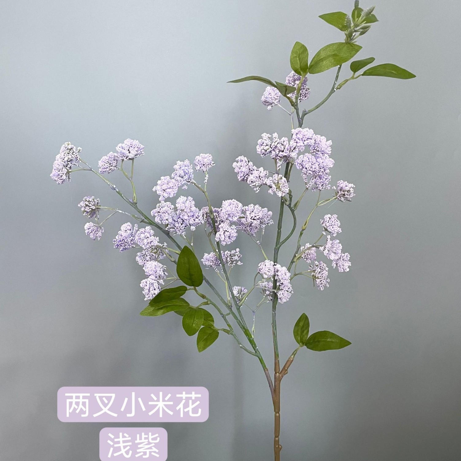 기장꽃 연보라색