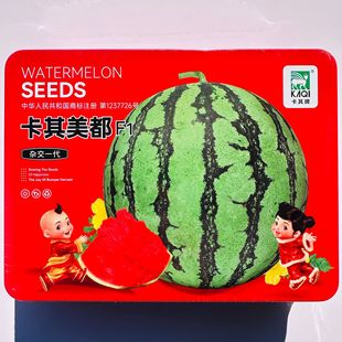 8424����o�����ϷN�����ش�߮a���������Ϸ�С�ļ��߲�ˮ���N��