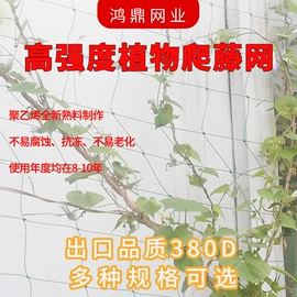 其他塑料网;安全绳