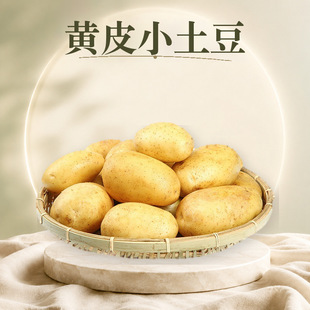 ������ʩ�SƤС���� ���l3/5/9���Ŵ�R����д���r�����r�߲�