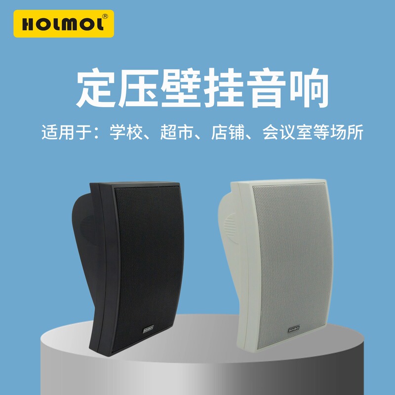 Wall-Mounted Audio School Conference Room Background Music Speaker Constant Voltage Speaker Wall-Mounted Speaker